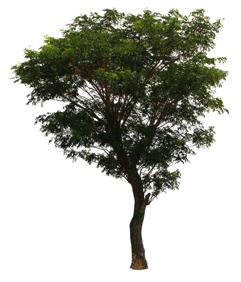 Bridgeport Personal Injury