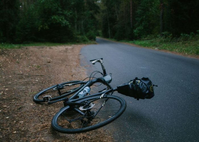 dmitrii-vaccinium-WZ7mxFs2f5g-unsplash-1-700x500