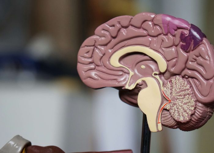 robina-weermeijer-3KGF9R_0oHs-unsplash-1-700x500